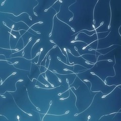 Unknwn Beats - You only exist because..