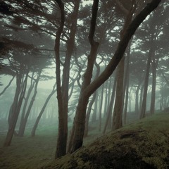 A Song Without Words