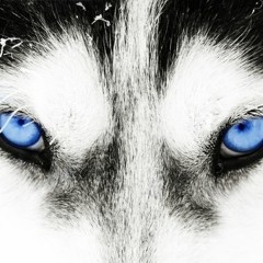 A Mix For Shauna (house&techno)