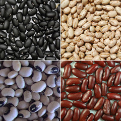 En fréjol: diferentes colores, diferentes beneficios