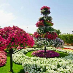أمي (لو جمعت قطرات البحر) ♡♡