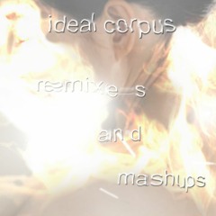 quand tu veux - dj nervoso x ideal corpus mashup