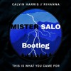 Calvin Harris Feat Rihanna - This Is What You Came For (Mister Salo Bootleg)