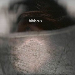 hibiscus - slippinstay