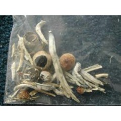 Shroom Music Pt2 -Raptel- 8th Kind- pro2kon
