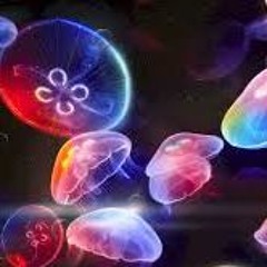 Dubstep/Downtempo/Chillpsy mix by Phuturedub