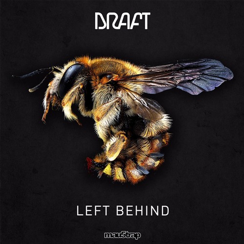 Draft - Deliverance