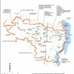 Jason Burgess VET FISHER