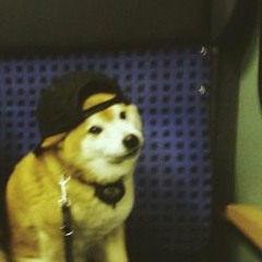Korean | Hip Hop | Rap | R&B