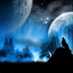 Fractal Trippy - Forest Wolf