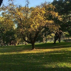 Espero que este sea el último lamento (Sesión, viaje a Argentina)