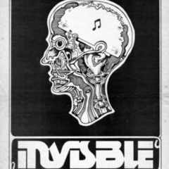 Los libros de la buena memoria - Invisible