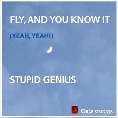 Fly, and You Know It (Yeah, Yeah)