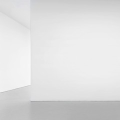 Ambiente 1 [Inside the White Cube]