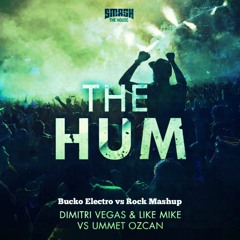 The Hum- Dimitri Vegas & Like Mike VS Figure It Out- Royal Blood (Bucko Masup)