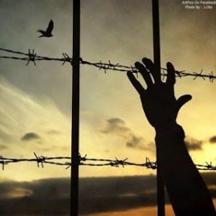 خواستن همیشه توانستن نیست-رسول ادهمی-دکلمه رضا پیربادیان