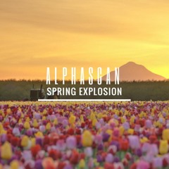 Spring Explosion