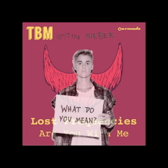 Lost Frequencies Vs Justin Bieber - Are You With Me Vs What Do You Mean [Lee Harris Bootleg]