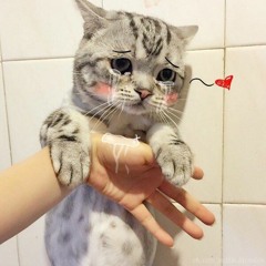 Kiss Yr Scars
