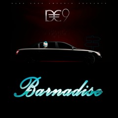 Barnadise