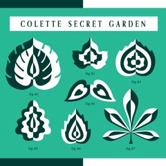 colette secret island extracts
