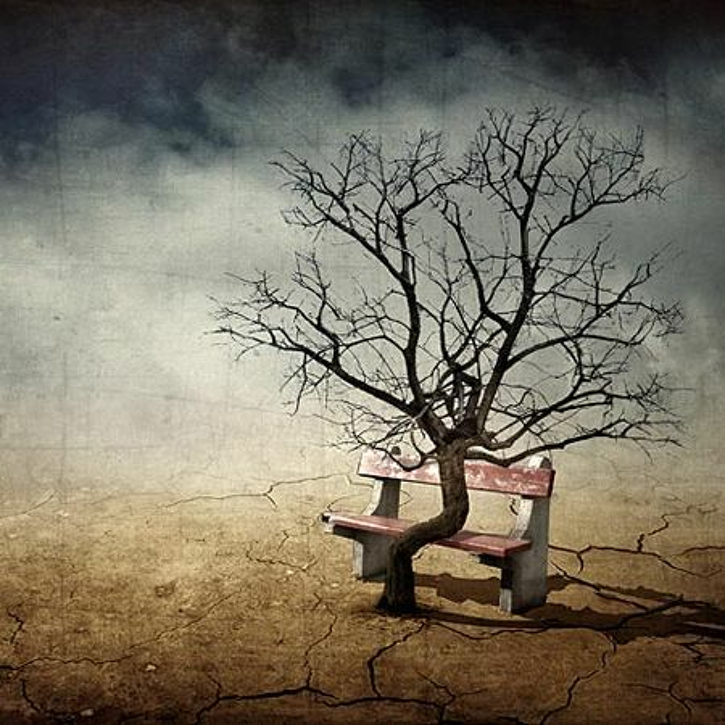 تحجُّ إليكَ أشلائي - شعر عصام مطير البلوي