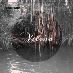 Looki Mur - Feelings Sound (Original Mix)