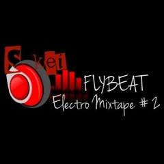 Flybeat Electro MixTape #2
