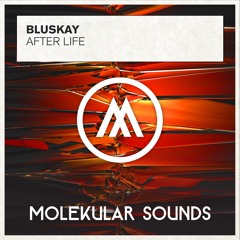 Bluskay - After Life (Original Mix) [FSOE 449]