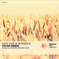 Gate Faze & Skyknock - Cross Winds (Richard Bass Remix)