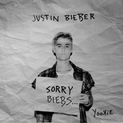 Justin Bieber - Sorry (YOOKiE's 'Sorry Biebs..' Edit) ClickBuy4FreeDL
