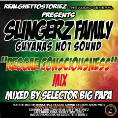 SLINGERZ FAMILY REGGAE CONSCIOUSNESS MIX