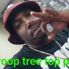 gansta bitch (not complete)