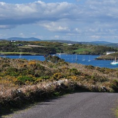 The Road to Durham - Jig