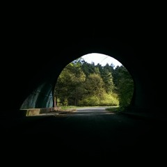 Der Frühling war da