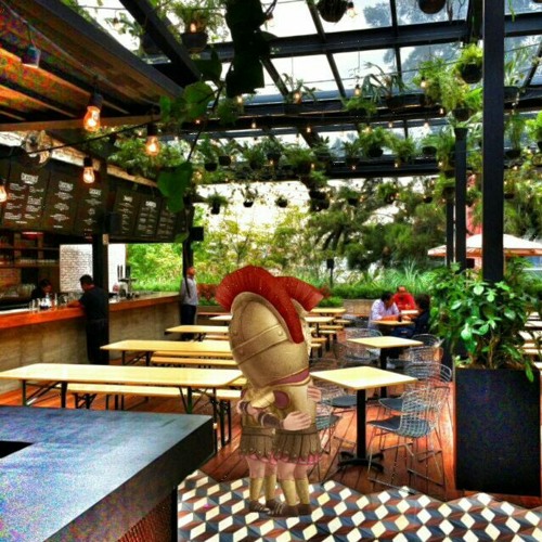 Tappeto Di Fragole Modax27 Base Musicale Karaoke Con