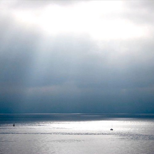 Paper Moses - Valerie And The Essence Of Grace