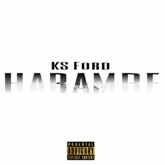 KS Ford- Humbrea Prod. Balik