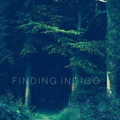 Finding Indigo (Prod By. D'Artizt)