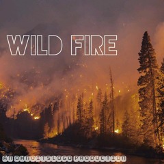 Wild Fire (Prod. By Lil Medics)