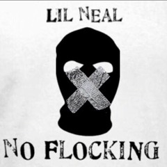 Lil Neal- No Flocking