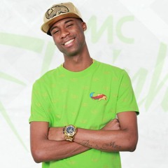 MC FLAVINHO - MULHER FICA SUAVE (ELETRO) [[[ DJ WL DA TIROL ]]] Audio Oficial