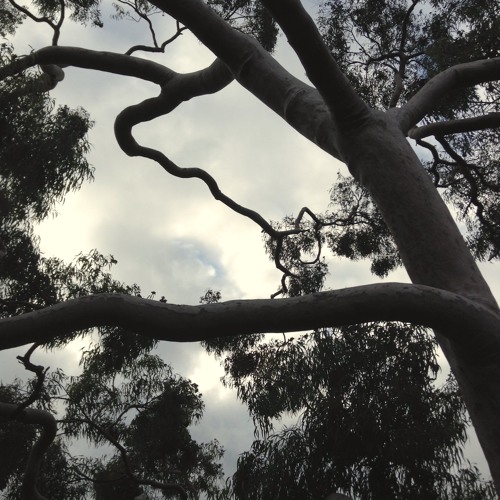 Stream Ricochet In Time a Shawn Colvin cover by lori oh Listen