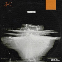 ZIP K - TEMPO (prod. by L3NO)