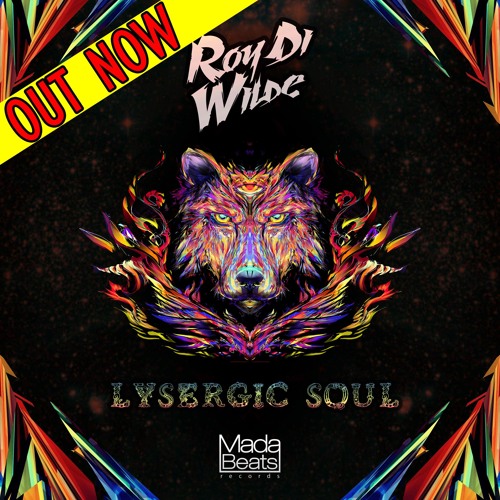 Roy Di Wilde - Lysergic Soul Album