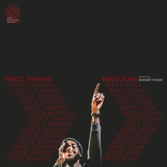 Birds Soar (ft. Rodney Tenor)