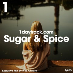 Exclusive Mix #47 | Wild Culture - Sugar & Spice | 1daytrack.com