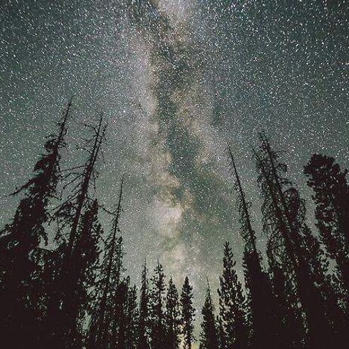 The Chainsmokers - Don't let me Down /Alice Deejay - Better Off Alone [DUBSTEP]