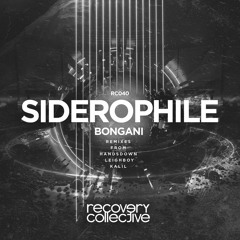 RC040 | Bongani - Siderophile (KALIL Remix)