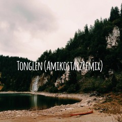 Tonglen (AmikostarzRemix)